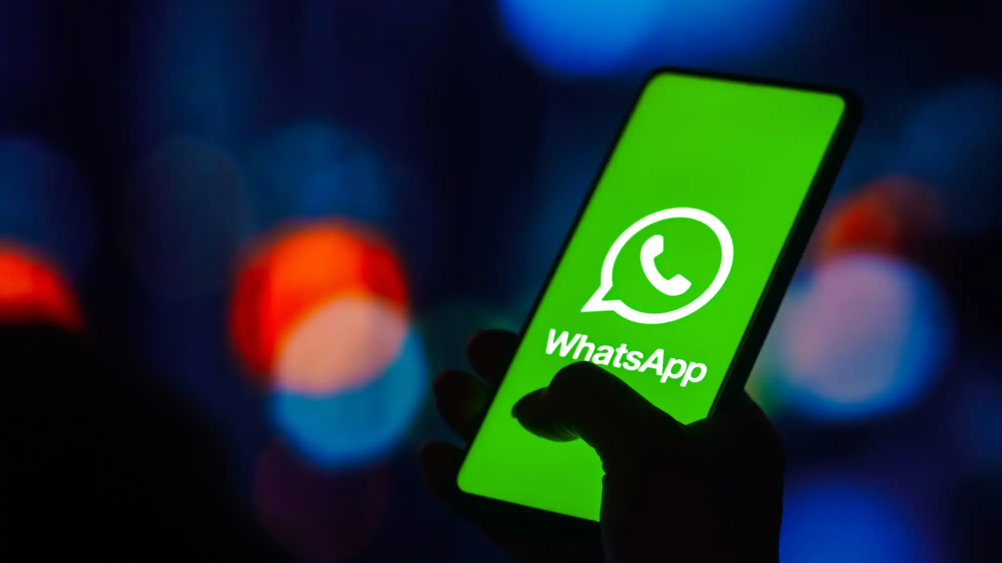 The WhatsApp number verification assistant is very useful